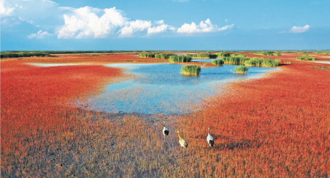 659de9204a80200a6cbb04fd4d653a96_W020251219702399324937.png 659de9204a80200a6cbb04fd4d653a96_W020251219702399324937.png