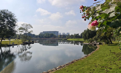 d880cebcb542434799acc8e35328a82f_1769581604340_27859.png d880cebcb542434799acc8e35328a82f_1769581604340_27859.png