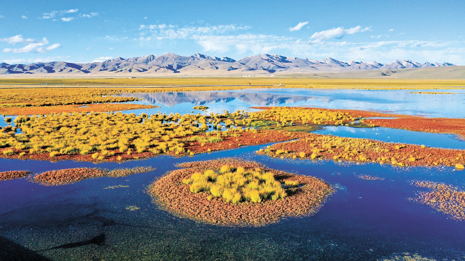 1208c450dfa8a745ea9bd6c57abed603_14070838ydts.jpg 1208c450dfa8a745ea9bd6c57abed603_14070838ydts.jpg