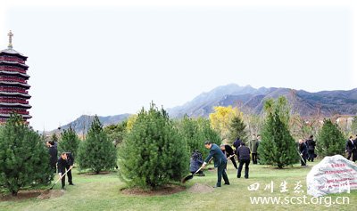 APEC会议亚太伙伴林栽种松树