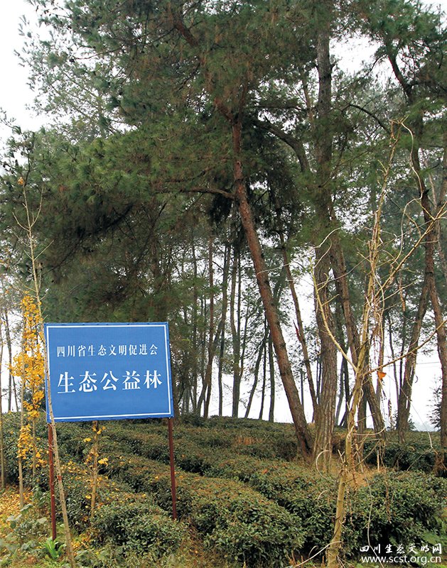四川省生态文明促进会生态公益林